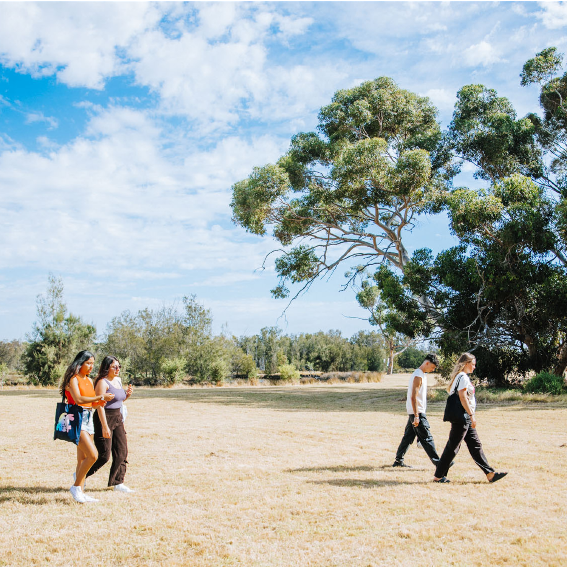 Students Hiking