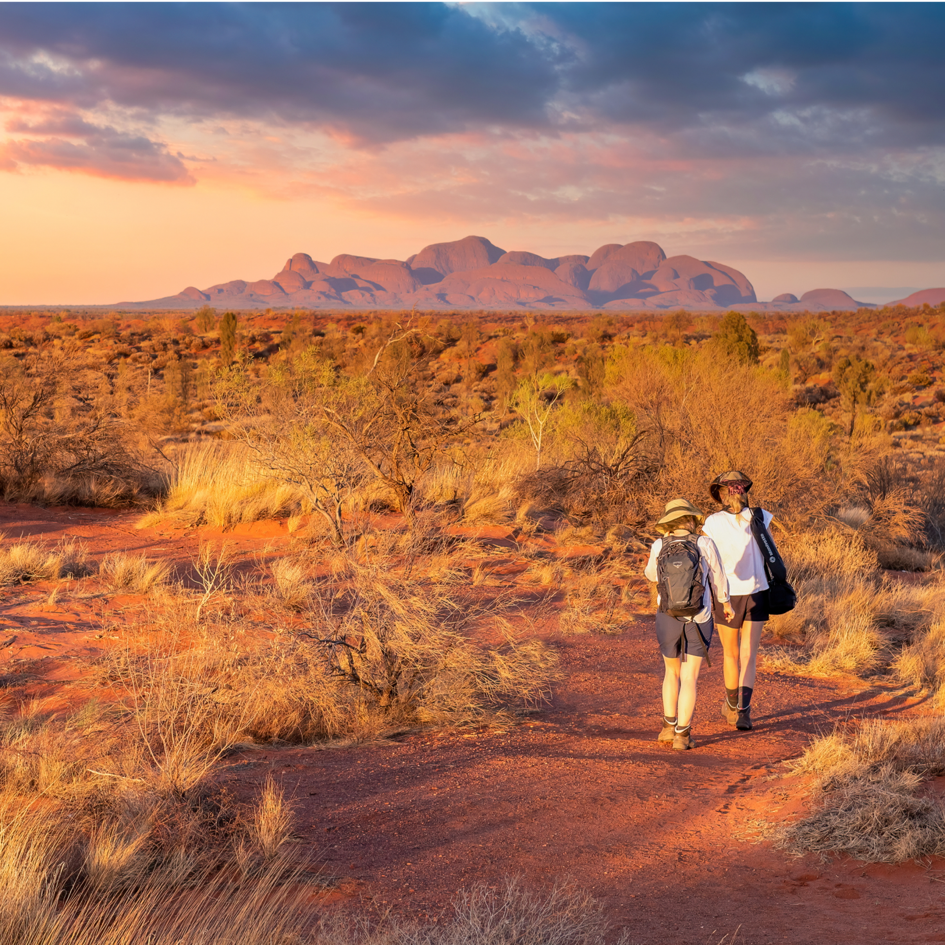 Students Hiking Outback