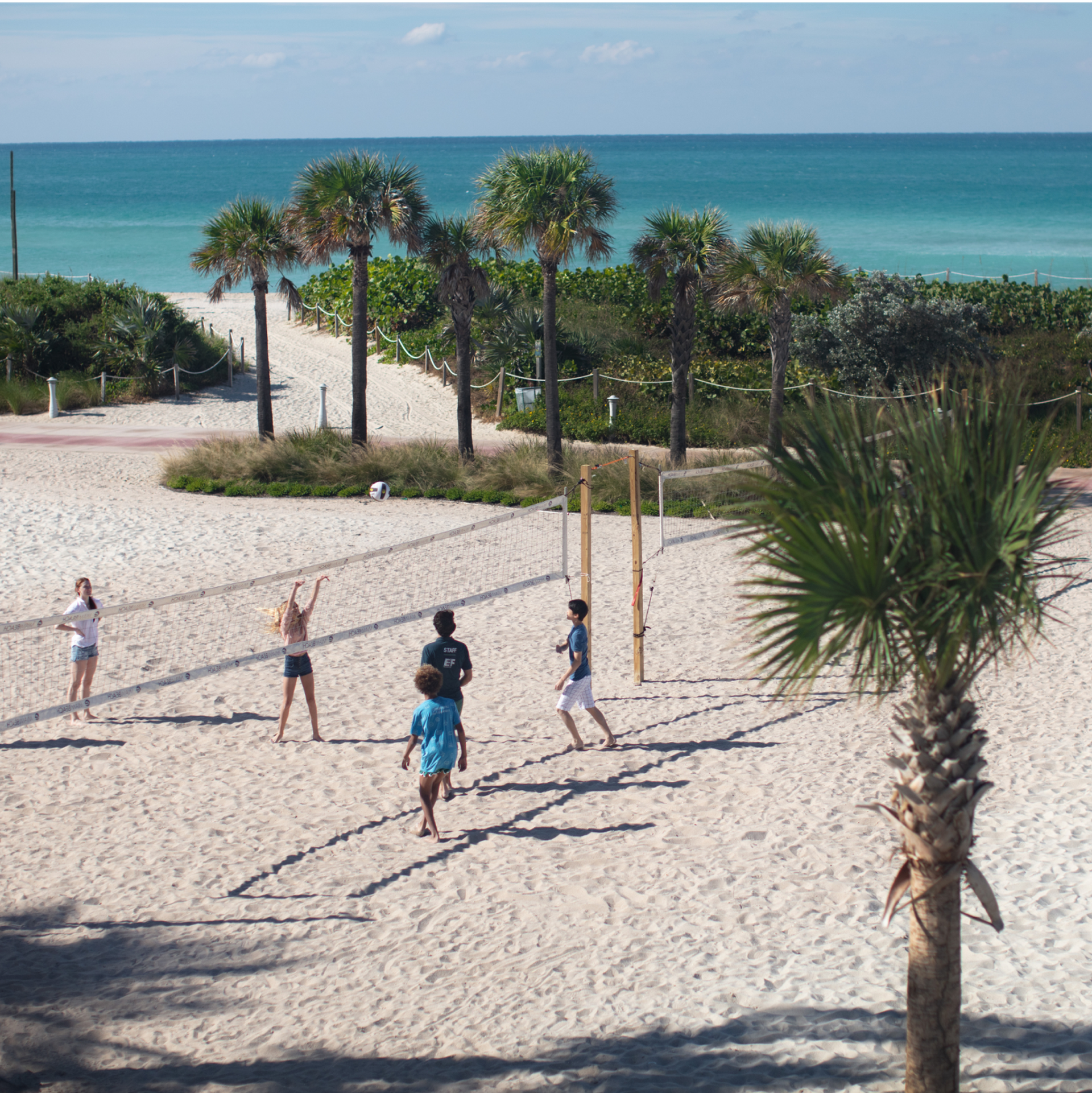 Students Playing Volleyball