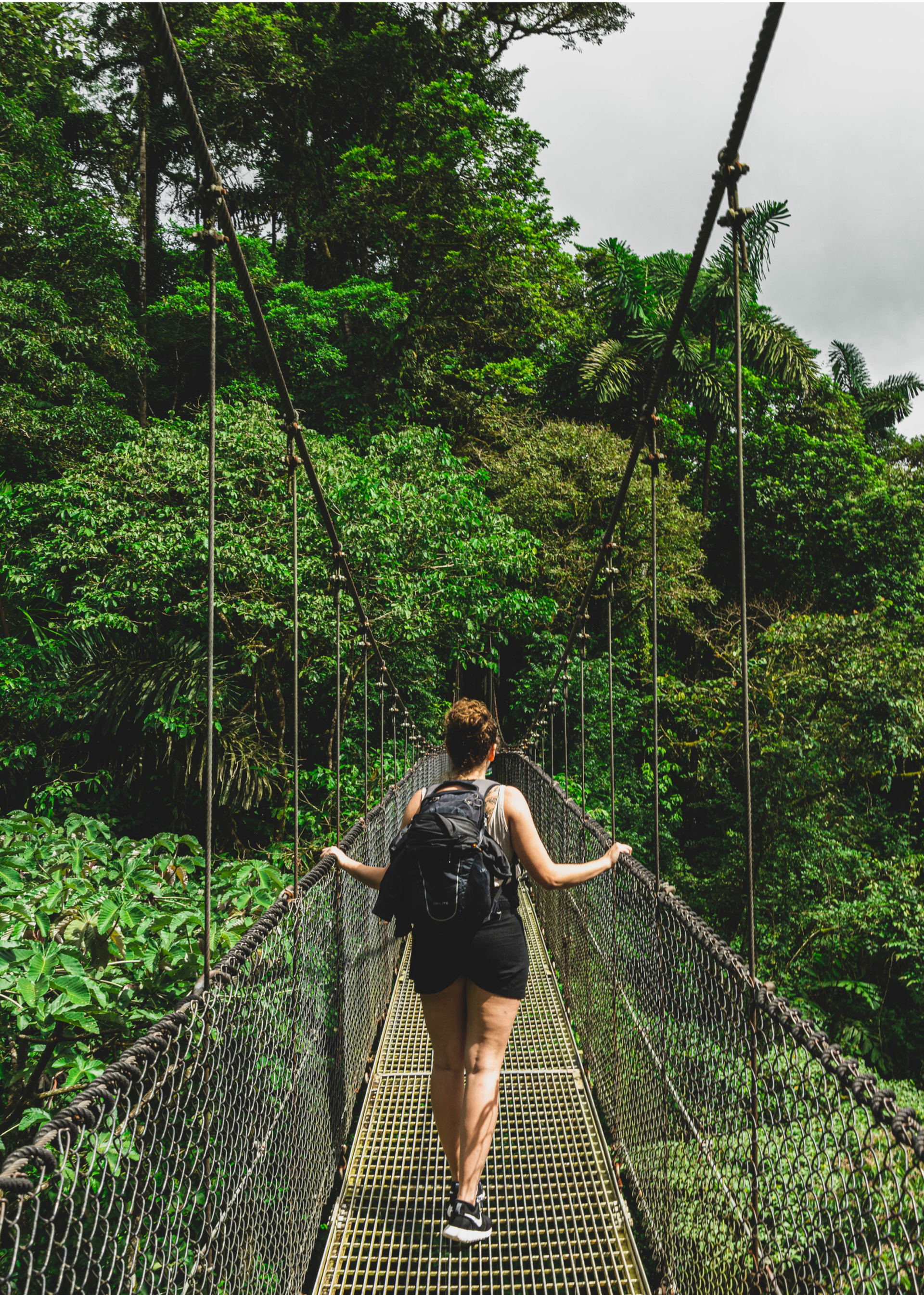 Students Walking On Hanging Bridge