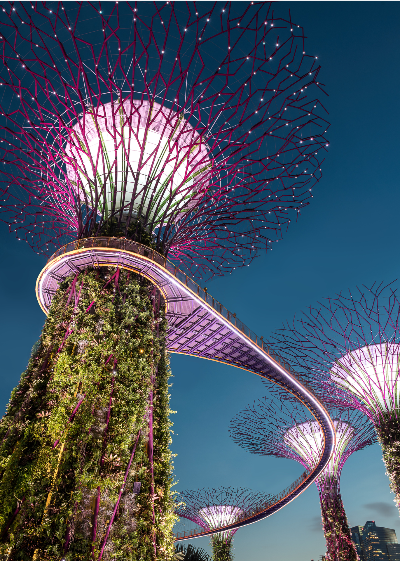 Supertree Grove