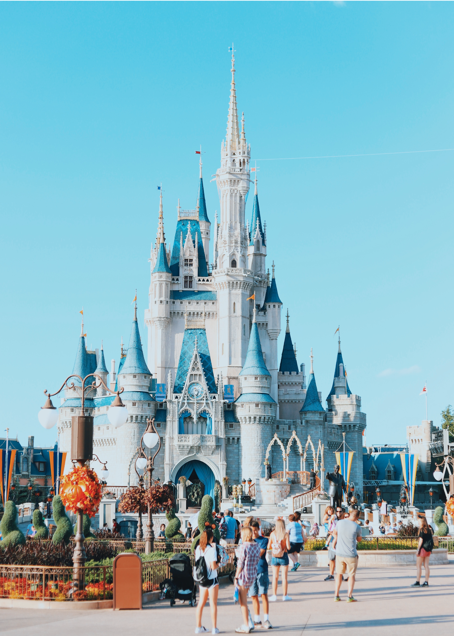 Disney Land Castle