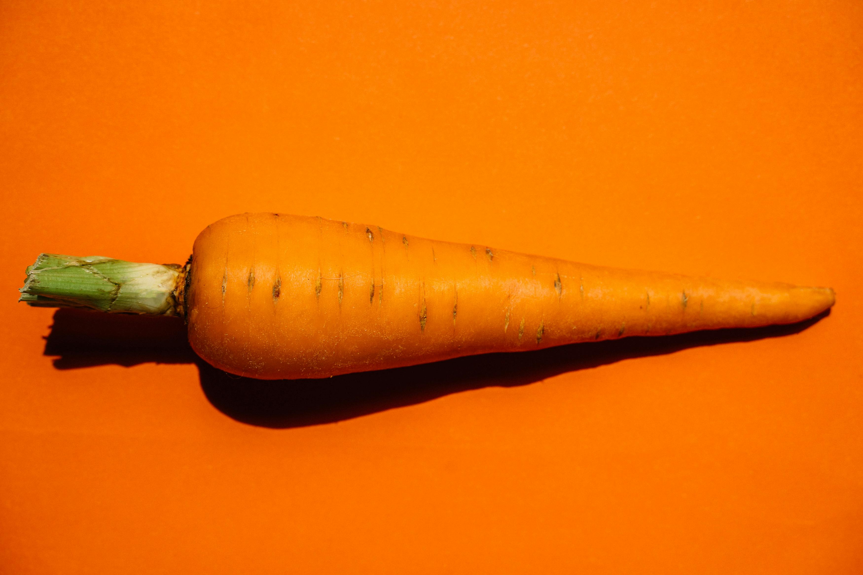 Eine einzelne orangefarbene Karotte mit grünem Kopf liegt auf einer orangefarbenen Fläche und wirft einen Schatten.
