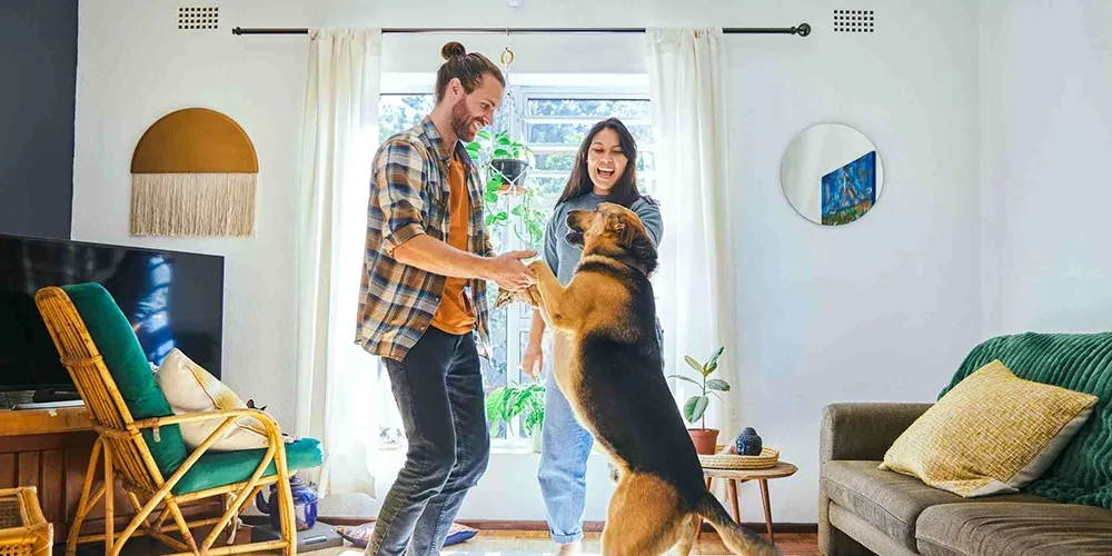 A couple joyfully plays with a large dog in a cozy, well-lit living room with plants and comfortable furniture.