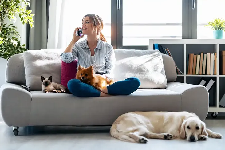 beautiful lady on the phone to her partner happy with the costs for selling her house so she can move with her pets into his