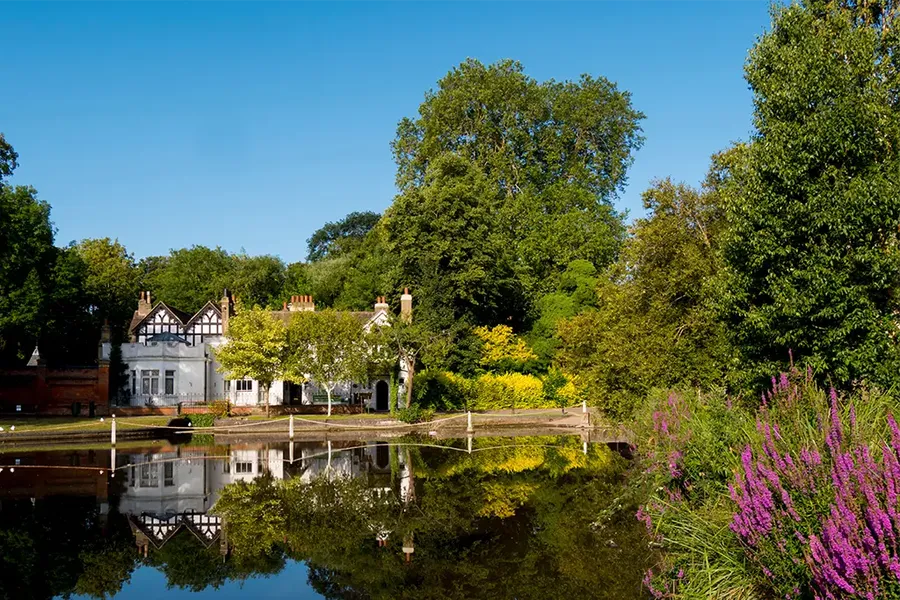 Carshalton pond, Sutton, London UK