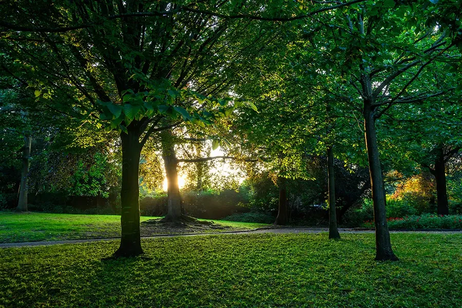The Knoll, a small park in Hayes, London UK