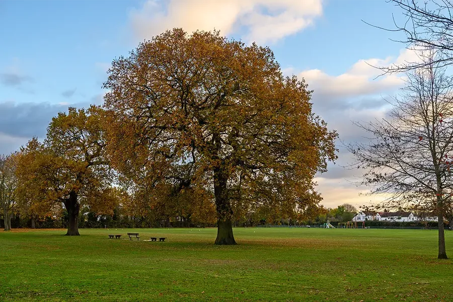 Blake Recreation Ground in the Borough of Bromley, London UK