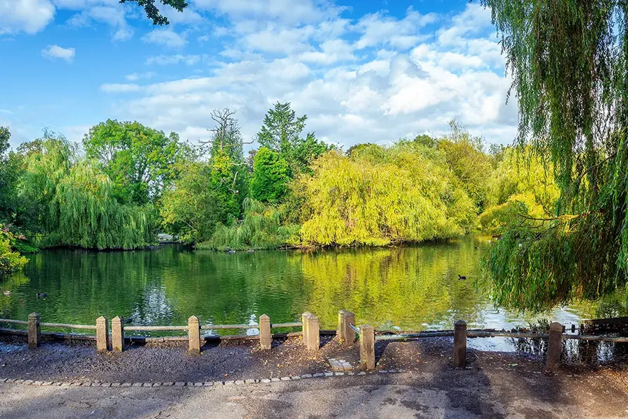park with a pond in Orpington, London England