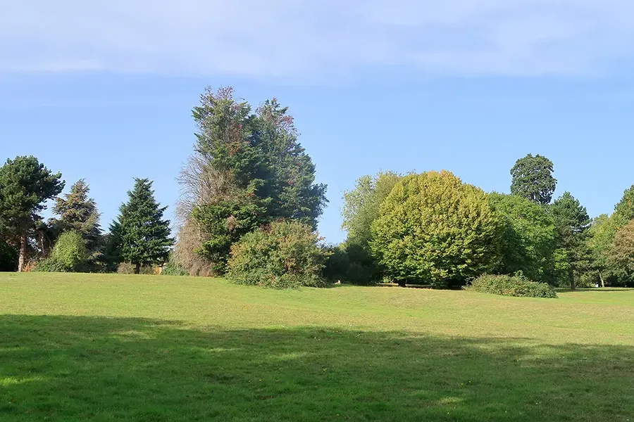 woodland scene in Sidcup, London UK