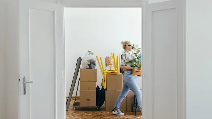 Person carrying a plant walks past stacked moving boxes and yellow chairs in a room with white doors and wooden floor.