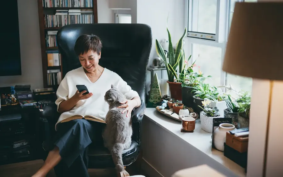 mature woman relaxing in an armchair with her cat reading an email on her phone