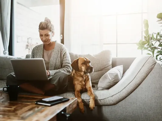 a homebuyer researching the differences between a local solicitors and an online conveyancers