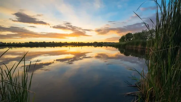 early morning view of the lake at Broomfield Park, Palmers Green, London
