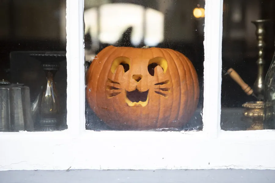 A carved pumpkin with a cat face design sits on a windowsill, glowing from within against a dimly lit background.