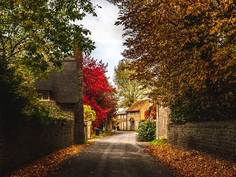 Narrow village street lined with stone houses and vibrant autumn trees, including red and golden leaves, under a cloudy sky.