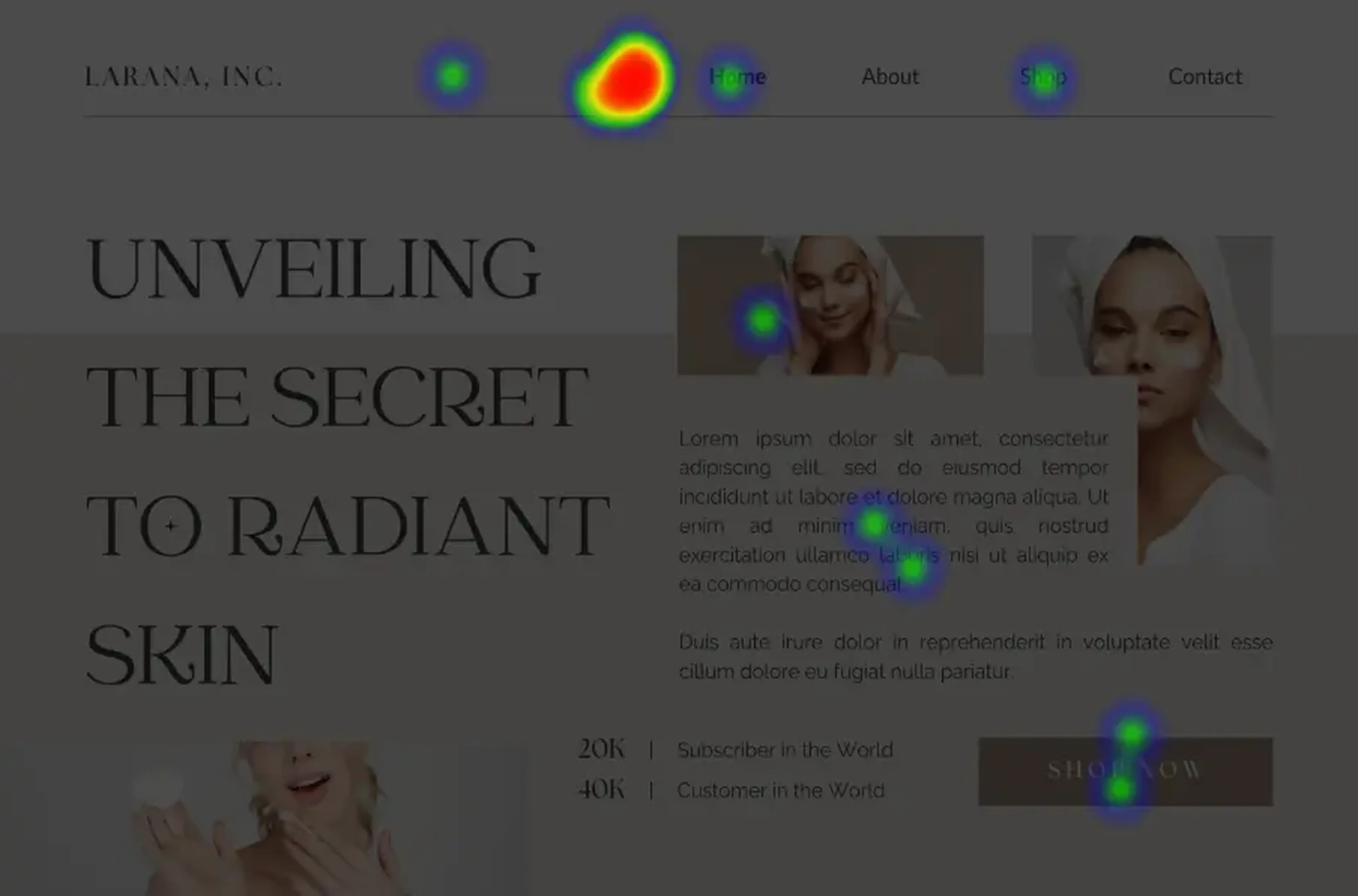Website heatmaps