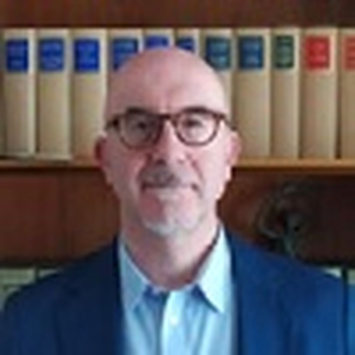 Alvise Andreose