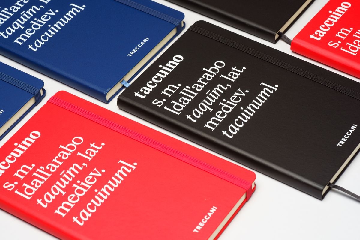 VISORE_taccuini_alternativa