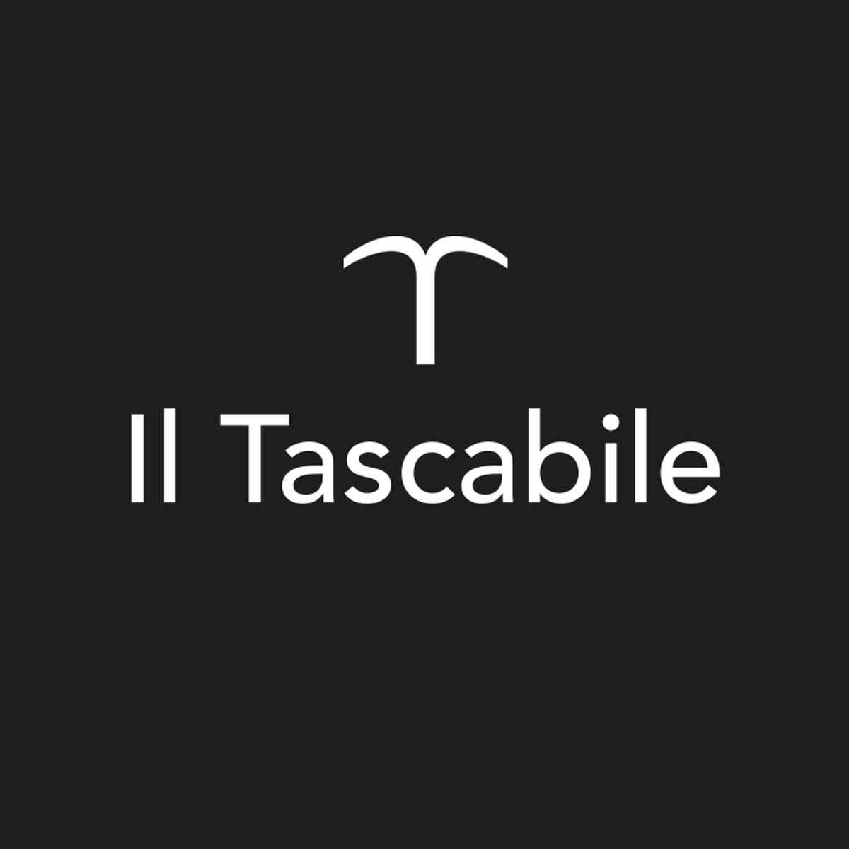 Il tascabile