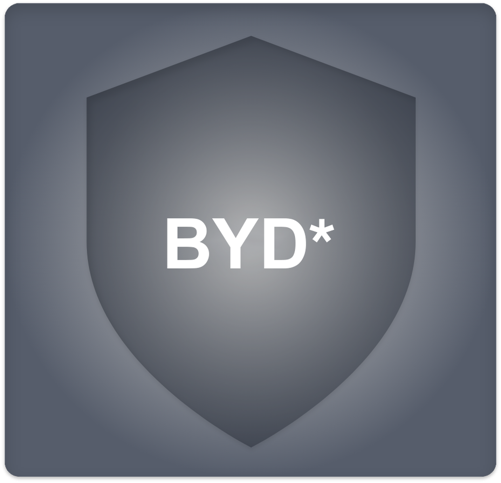 BYD*