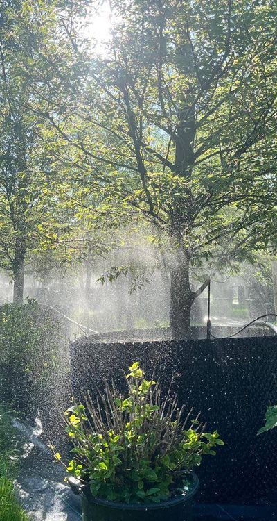 Bezoek de showtuin van uniekebomen.nl in Doornspijk.