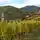 Weinberge mit herbstlich gefärbtem Laub im Vordergrund, ein Dorf mit einem markanten Turm und eine historische Burg, eingebettet in bewaldete Hügel.