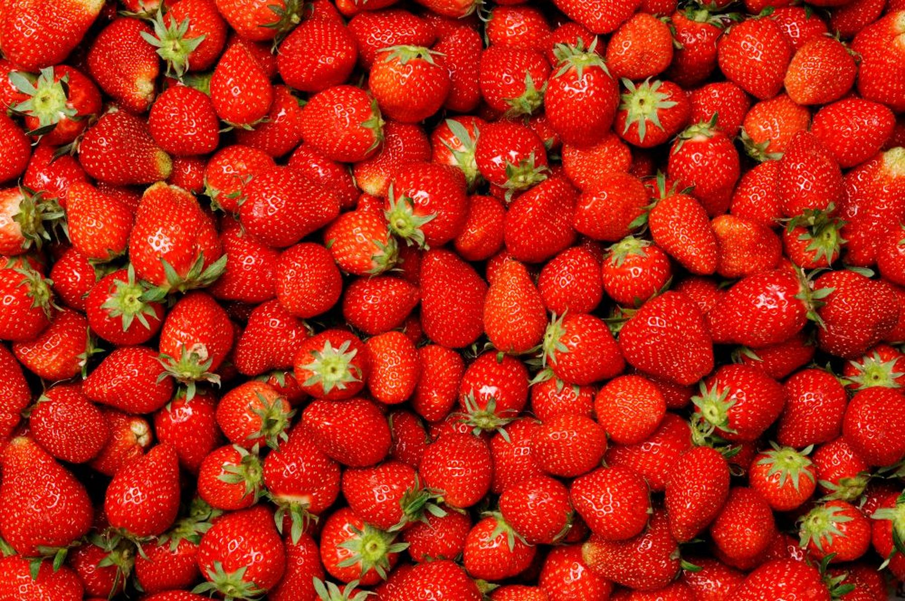A vibrant pile of fresh, ripe strawberries with bright red skin and green leaves densely covering the image.