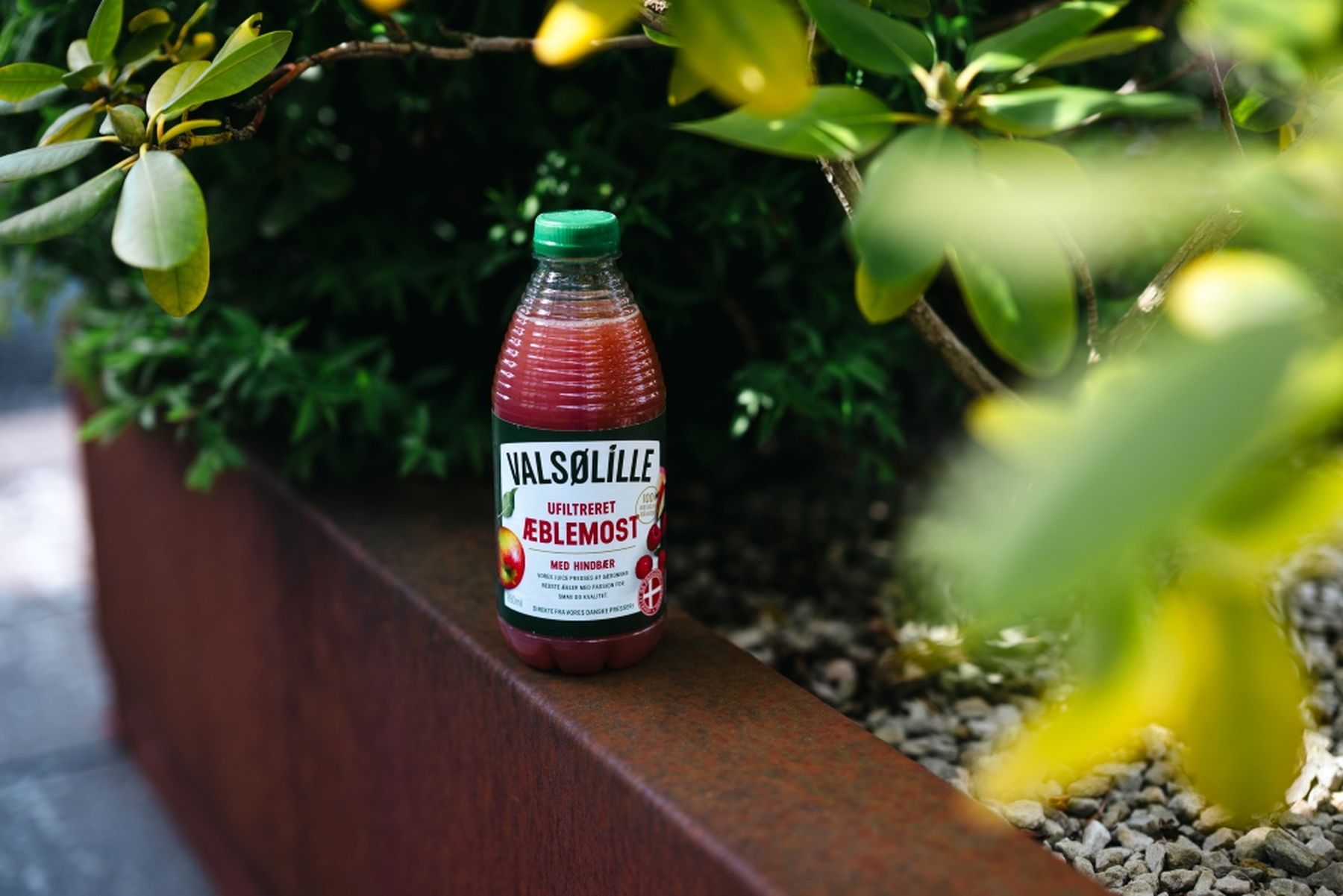 A bottle of "Valsølille Unfiltered Æblemost" with raspberries, placed on a brown ledge next to green foliage.