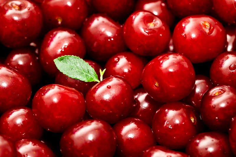Close-up of a pile of shiny red cherries with a single green leaf on top, showcasing their fresh and juicy appearance.