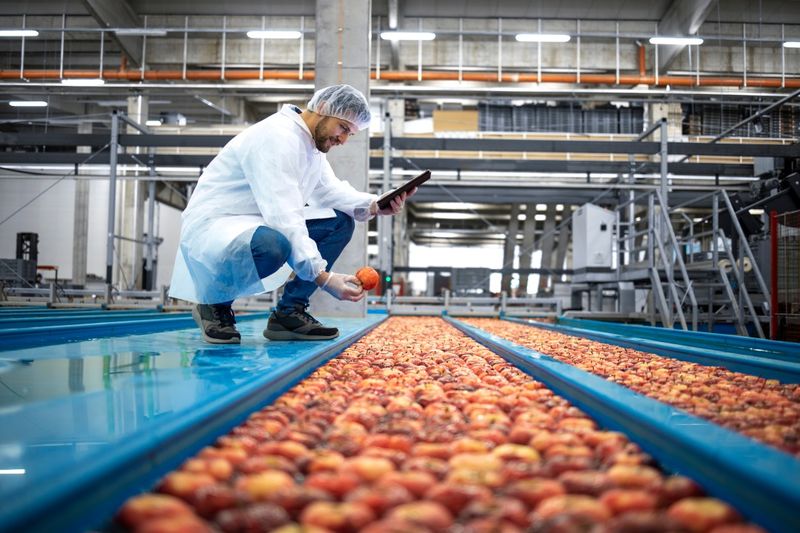 A worker in protective clothing inspects apples on a conveyor belt in a modern industrial facility.