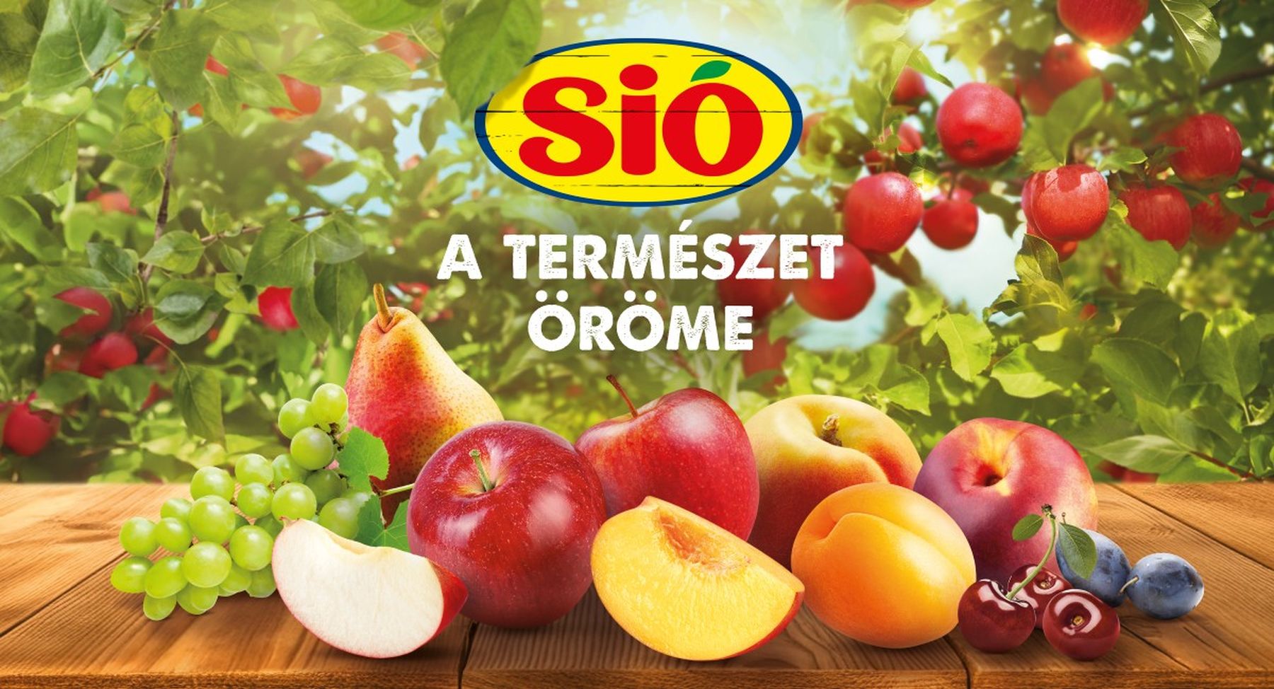Assorted fruits, including apples, pears, and cherries, on a wooden surface with a leafy background and "Sió A Természet Öröme" text above.