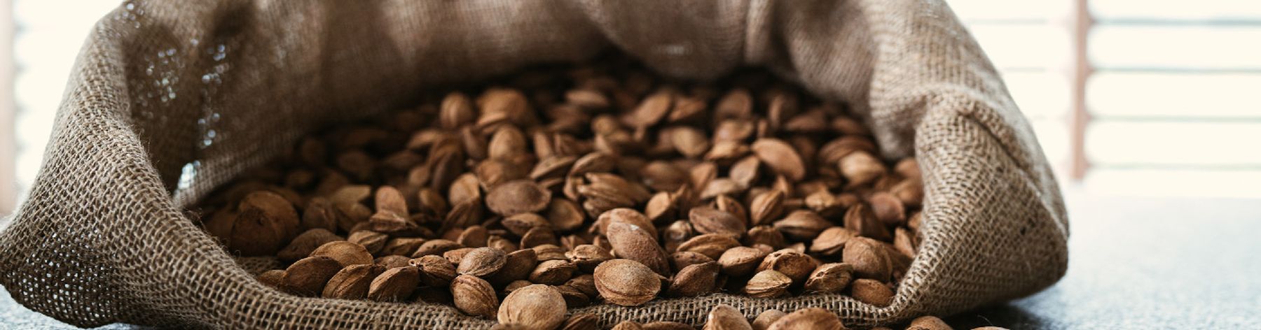 A burlap sack filled with unshelled walnuts spilling onto a surface, with sunlight filtering through blinds in the background.