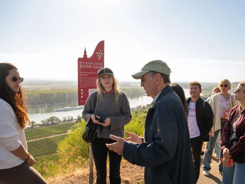 A group of people stand near a sign overlooking vineyards and a river on a clear day, engaged in conversation.