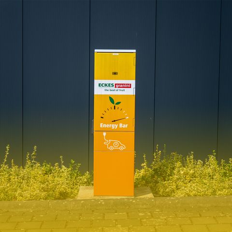 Eckes_Granini_Karriere_Hauptseite_Benefits_Flexibilitaet-Mobilitaet_Kostenfreie-Parkplaetze