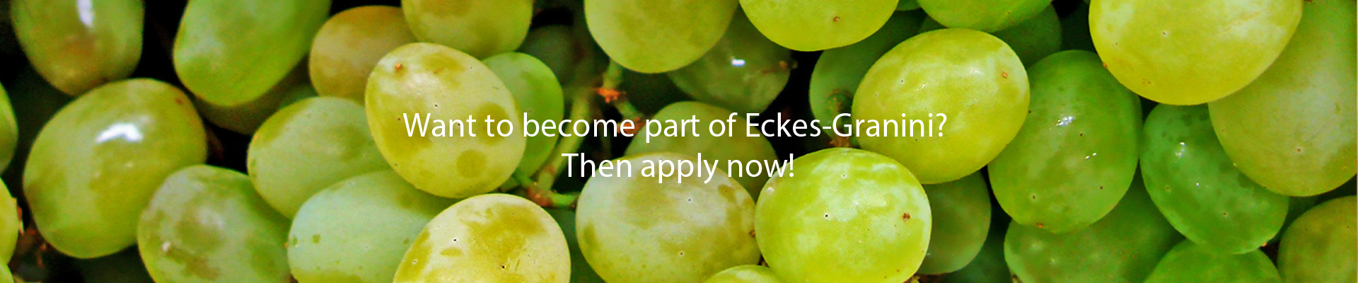 Trauben - Want to become part of Eckes-Granini Then apply now!new