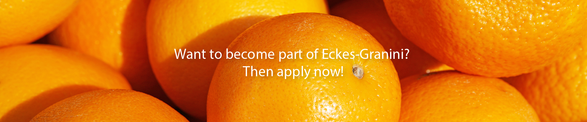 Orangen - Want to become part of Eckes-Granini Then apply now!-new