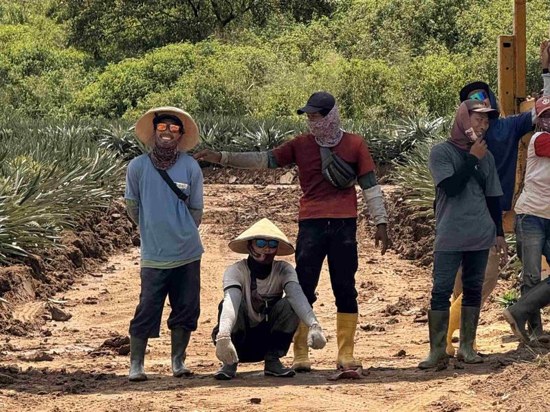 A group of people wearing sunglasses, hats, and scarves stand on a dirt path surrounded by lush greenery and agave plants.