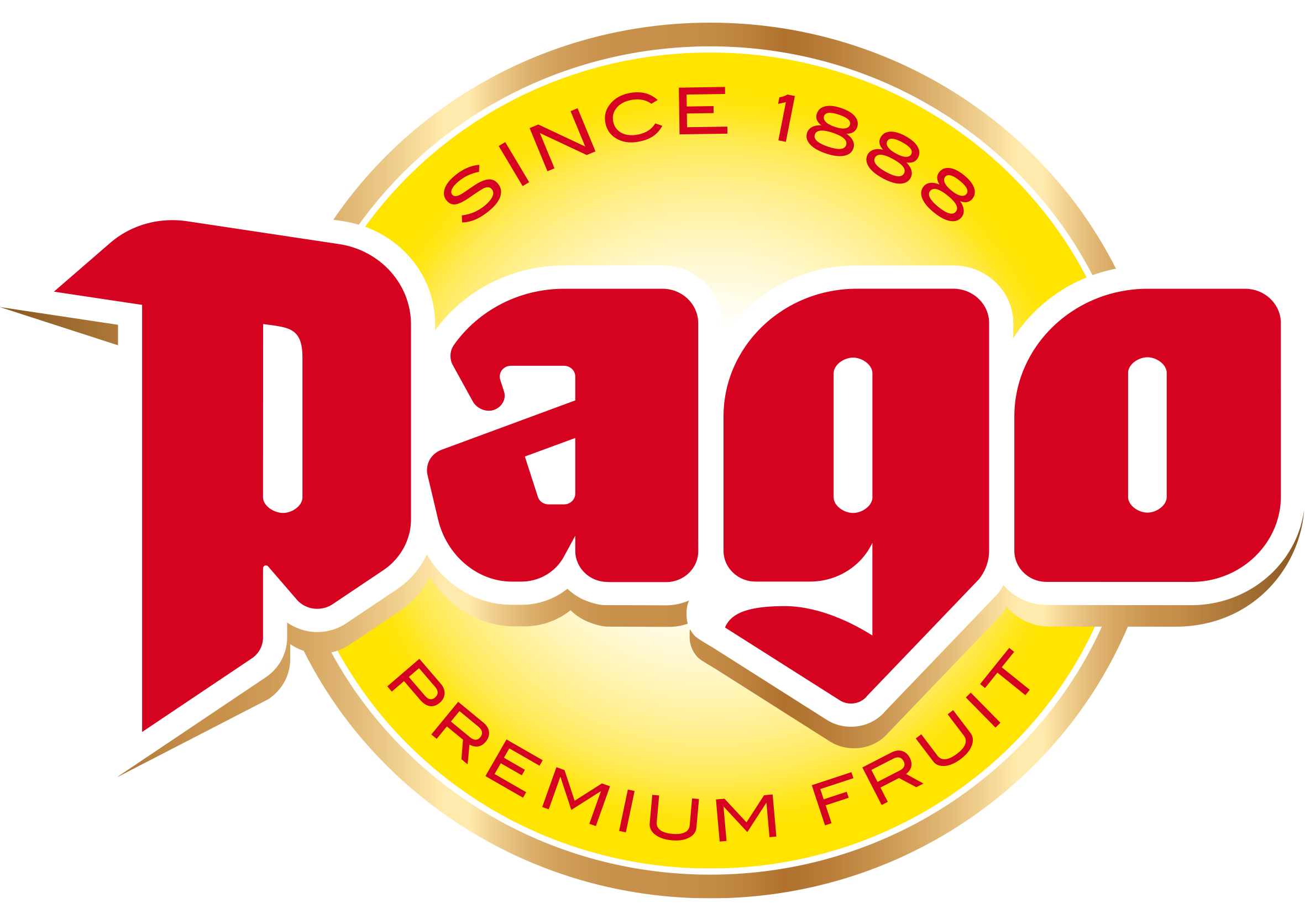 Pago_logo_RGB