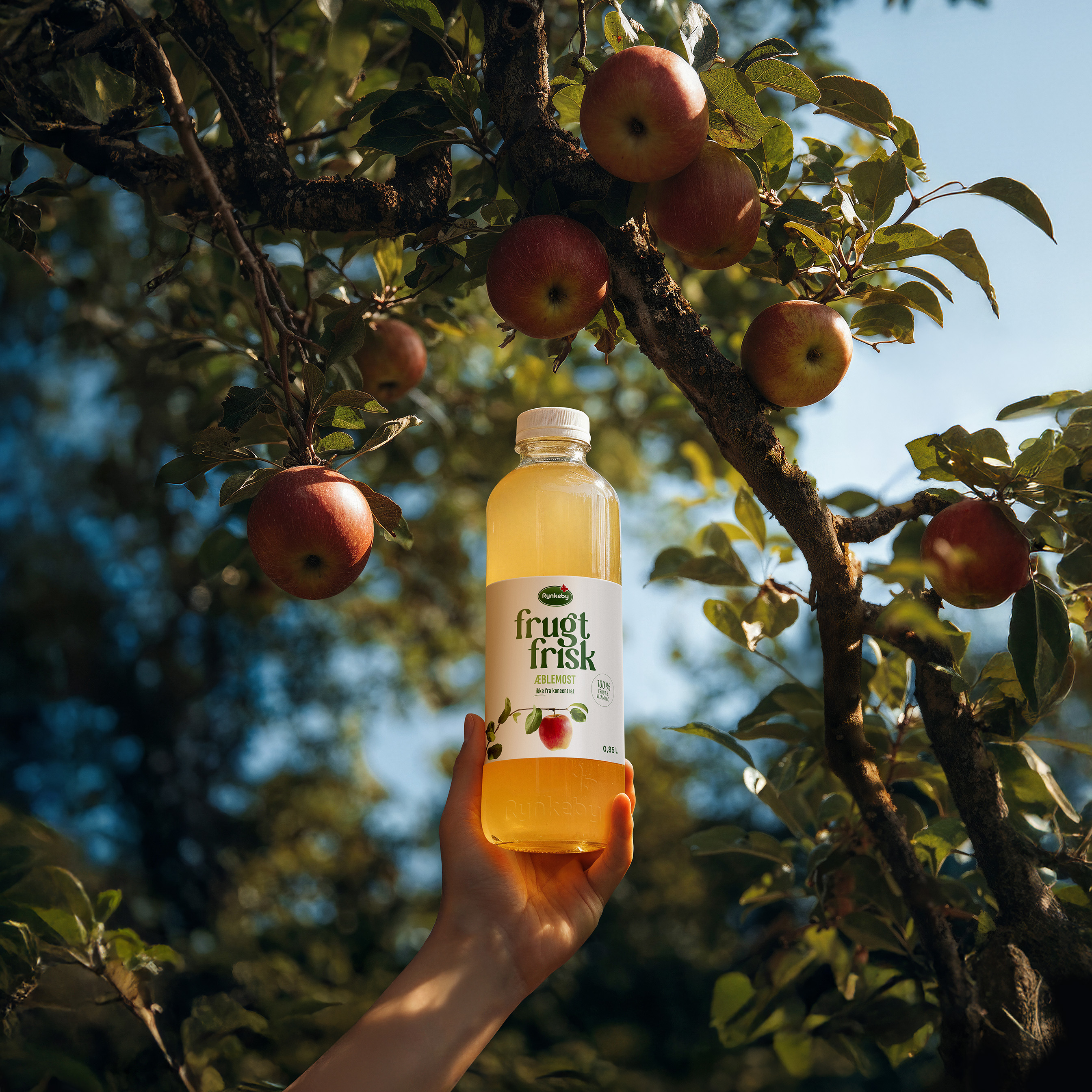 FrugtFrisk Æblejuice PET KV Square Flat FINAL Low