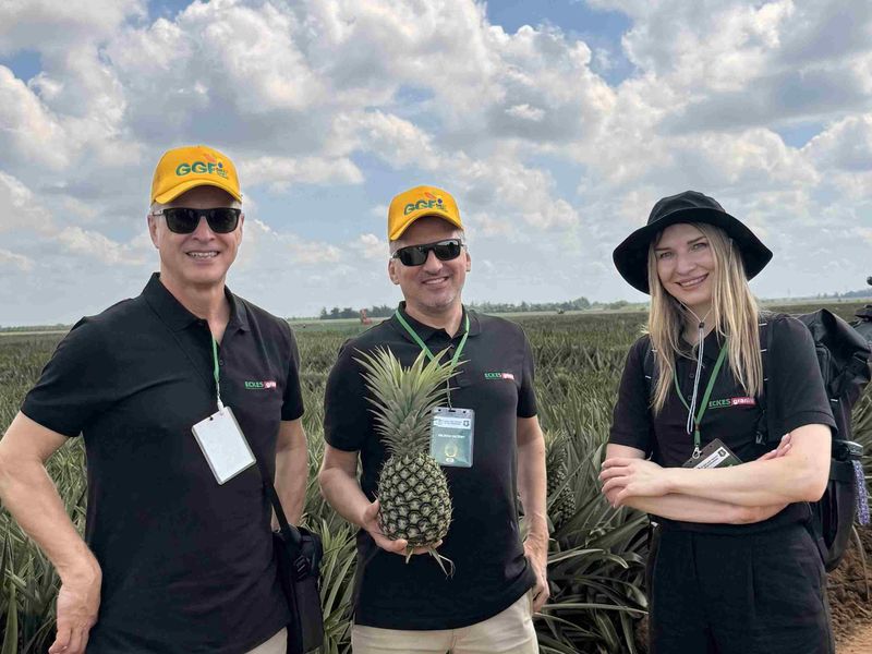 Three people in black shirts and hats stand in a pineapple field, smiling, with one holding a pineapple.