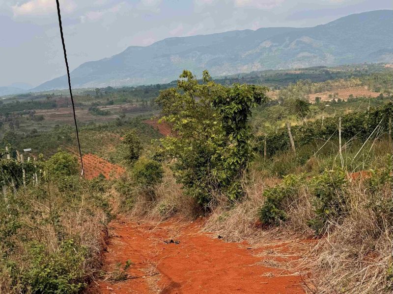 A red dirt path winds through lush, green hillside vegetation, with distant mountains under a partly cloudy sky.