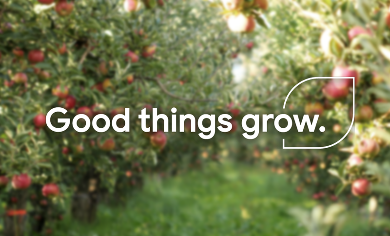 Good Things Grow