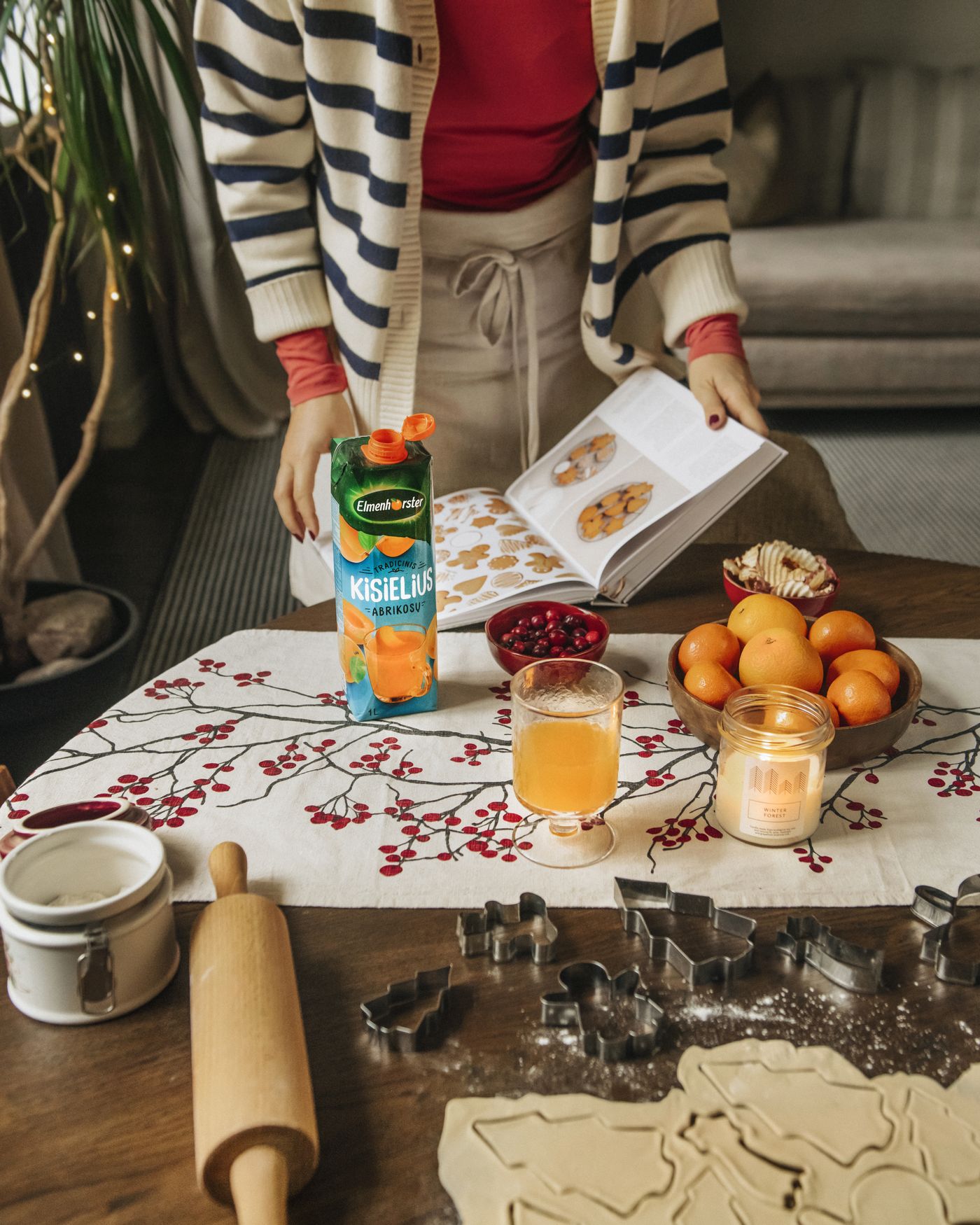 Elmenhorster_abrikosų_kisielius