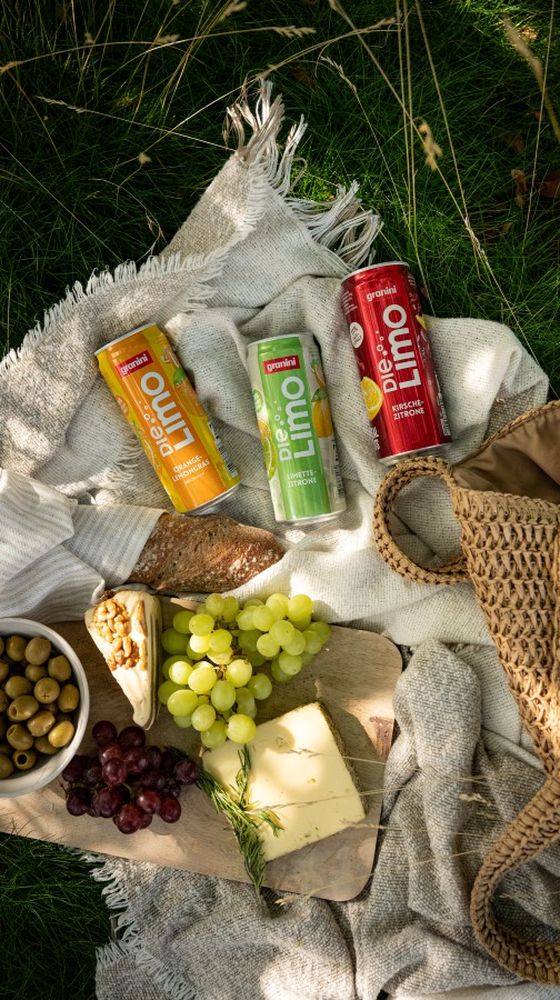 Picnic scene with three cans of flavored drinks on a blanket, a cutting board with cheese, grapes, olives, a baguette, and a woven bag on grass.