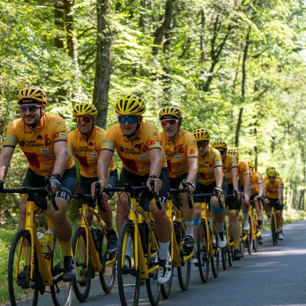 A group of cyclists wearing matching yellow uniforms and helmets rides in formation on a wooded road, sunlight filtering through the trees.