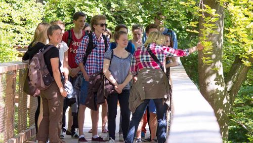 A group of people on a wooden boardwalk in a green forest. A woman in a plaid shirt points to trees on the right.