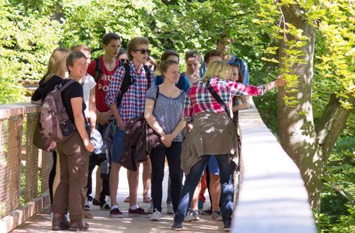 A group of people on a wooden boardwalk in a green forest. A woman in a plaid shirt points to trees on the right.