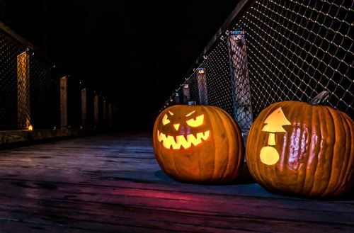 Two glowing carved pumpkins, one scary and one with a tree, sit on a dark wooden walkway at night.