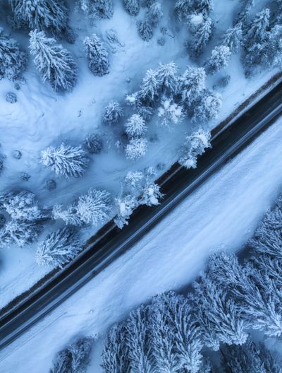 Eine schmale Straße verläuft gerade durch einen dichten Winterwald, die Bäume sind tief verschneit.